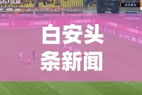 白安头条新闻，最新动态，百度权威发布