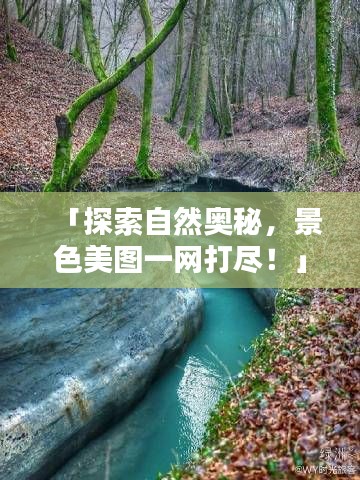 「探索自然奥秘，景色美图一网打尽！」