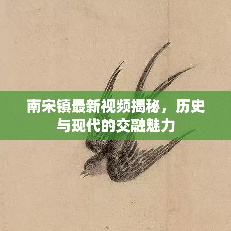 南宋镇最新视频揭秘，历史与现代的交融魅力