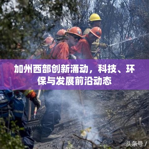 加州西部创新涌动，科技、环保与发展前沿动态