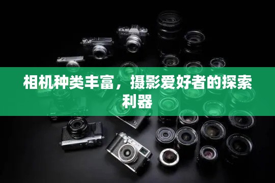 相机种类丰富，摄影爱好者的探索利器