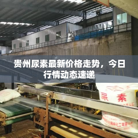 贵州尿素最新价格走势，今日行情动态速递