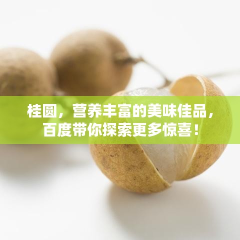 桂圆，营养丰富的美味佳品，百度带你探索更多惊喜！