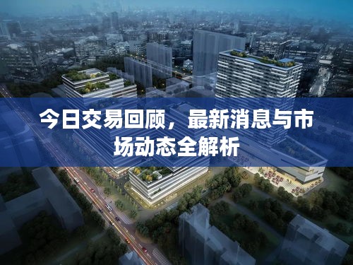 今日交易回顾，最新消息与市场动态全解析
