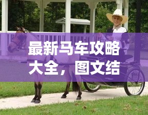 最新马车攻略大全，图文结合，实用指南助你轻松驾驭马车！