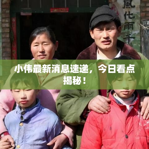 小伟最新消息速递，今日看点揭秘！