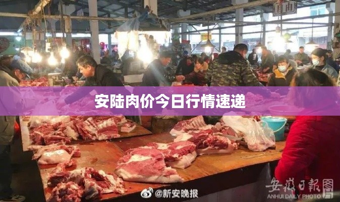 笼中之鸟 第2页