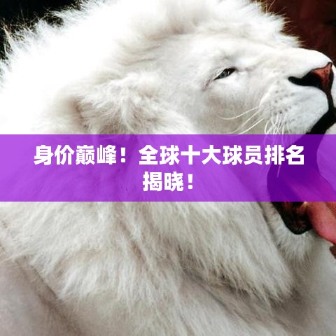 身价巅峰！全球十大球员排名揭晓！