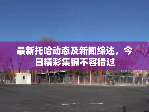 最新托哈动态及新闻综述，今日精彩集锦不容错过