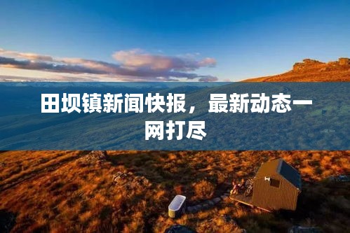 田坝镇新闻快报，最新动态一网打尽