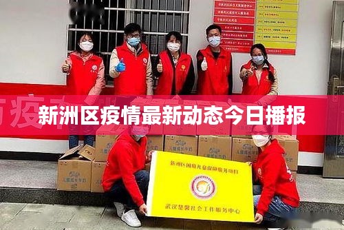 新洲区疫情最新动态今日播报