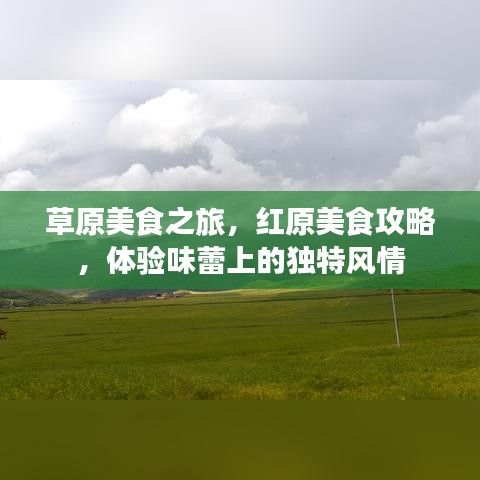 草原美食之旅，红原美食攻略，体验味蕾上的独特风情