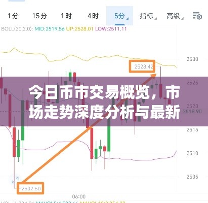 今日币市交易概览，市场走势深度分析与最新预测