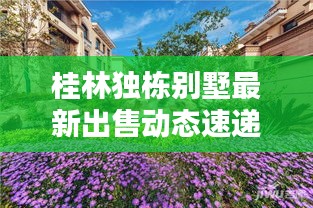 桂林独栋别墅最新出售动态速递