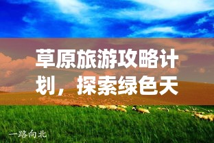 草原旅游攻略计划，探索绿色天地之旅