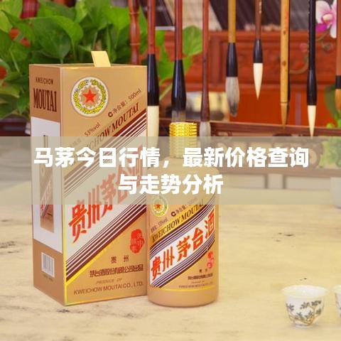马茅今日行情，最新价格查询与走势分析