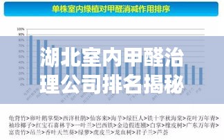 湖北室内甲醛治理公司排名揭秘，权威榜单不容错过！
