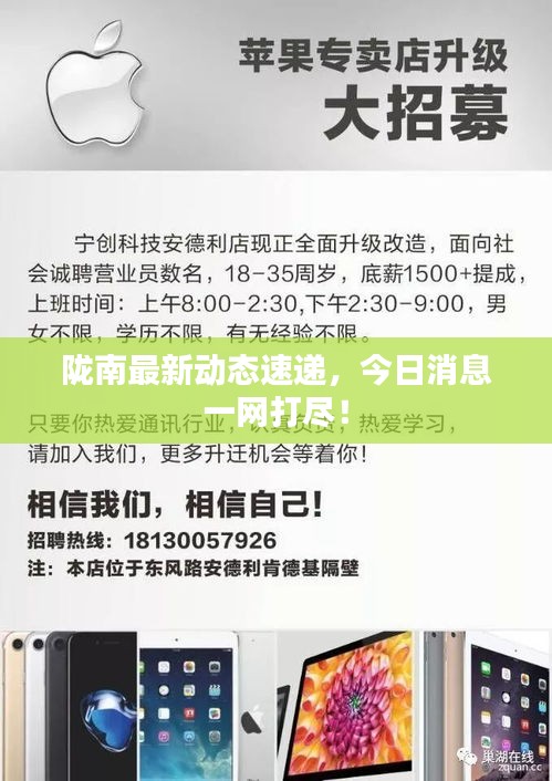 陇南最新动态速递，今日消息一网打尽！