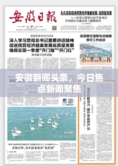安徽新闻头条，今日焦点新闻聚焦