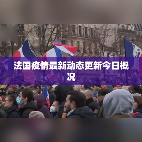法国疫情最新动态更新今日概况