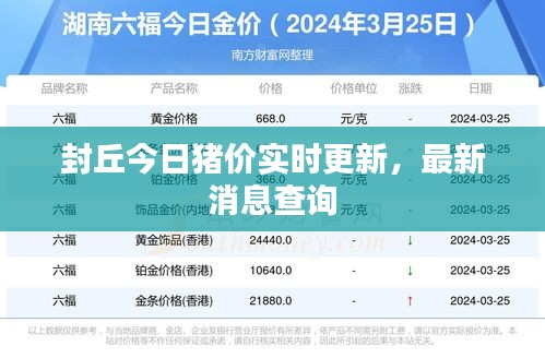 封丘今日猪价实时更新，最新消息查询