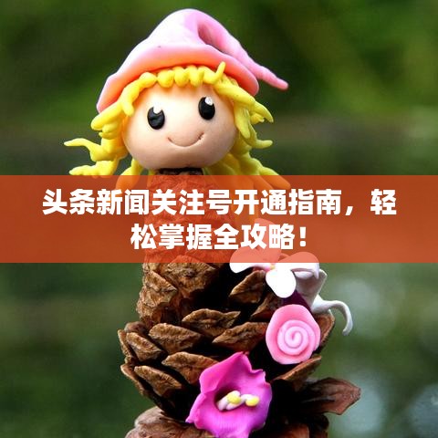 头条新闻关注号开通指南，轻松掌握全攻略！