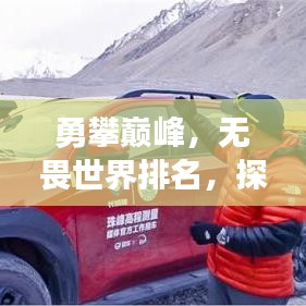 勇攀巅峰，无畏世界排名，探索未知之旅