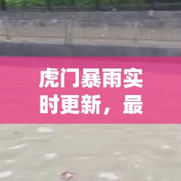 虎门暴雨实时更新，最新雨情及影响分析