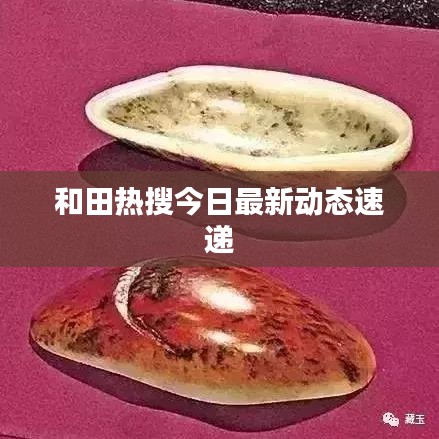 和田热搜今日最新动态速递