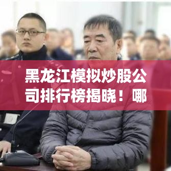 黑龙江模拟炒股公司排行榜揭晓！哪家公司独占鳌头？