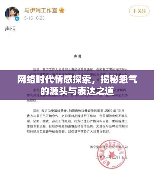 网络时代情感探索，揭秘怨气的源头与表达之道