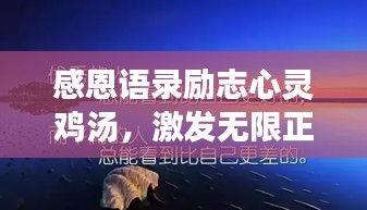 感恩语录励志心灵鸡汤，激发无限正能量！