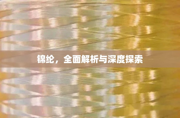 锦纶，全面解析与深度探索