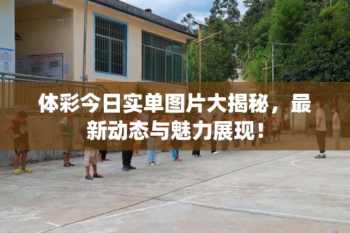 体彩今日实单图片大揭秘，最新动态与魅力展现！