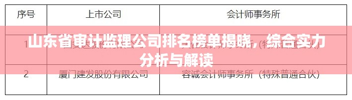 山东省审计监理公司排名榜单揭晓，综合实力分析与解读