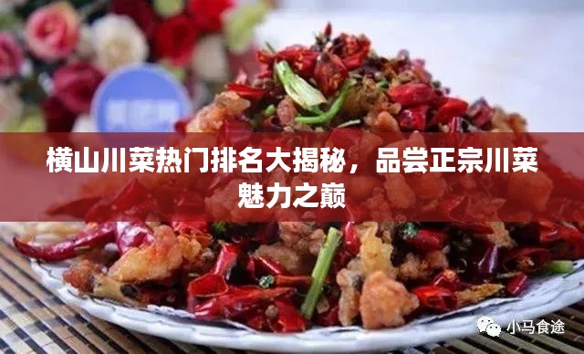 横山川菜热门排名大揭秘，品尝正宗川菜魅力之巅