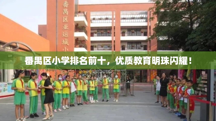 番禺区小学排名前十，优质教育明珠闪耀！