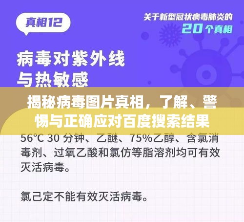 揭秘病毒图片真相，了解、警惕与正确应对百度搜索结果