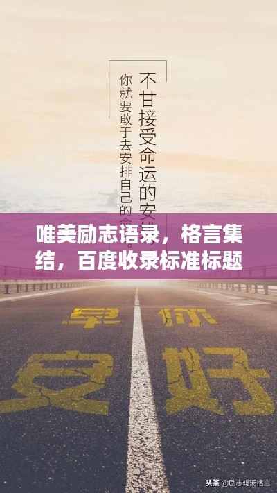 唯美励志语录，格言集结，百度收录标准标题