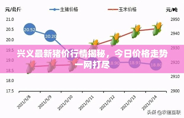 兴义最新猪价行情揭秘，今日价格走势一网打尽