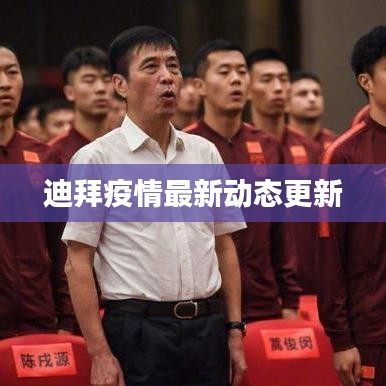 迪拜疫情最新动态更新