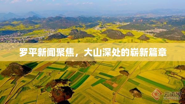 罗平新闻聚焦，大山深处的崭新篇章