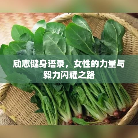 励志健身语录，女性的力量与毅力闪耀之路