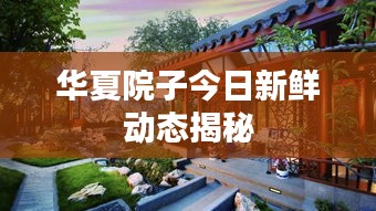 华夏院子今日新鲜动态揭秘