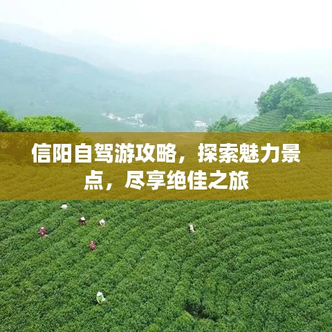 信阳自驾游攻略，探索魅力景点，尽享绝佳之旅