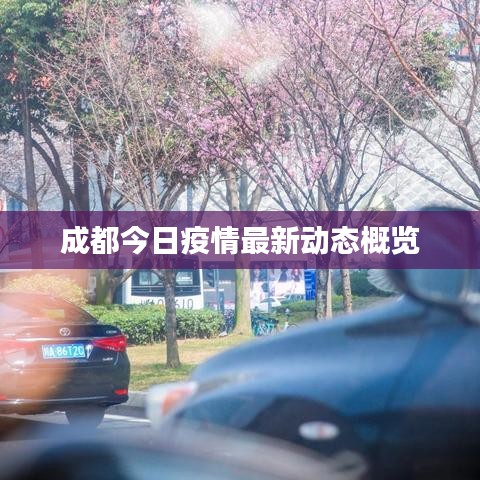 成都今日疫情最新动态概览