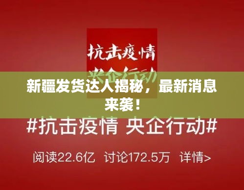 新疆发货达人揭秘，最新消息来袭！