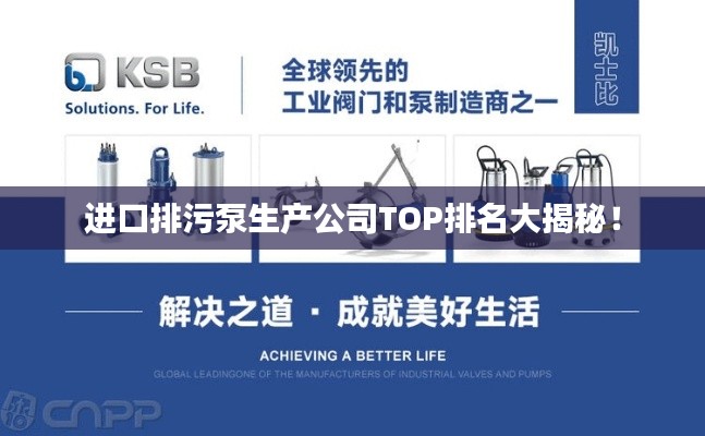 进口排污泵生产公司TOP排名大揭秘！
