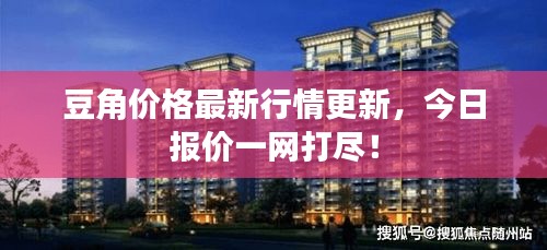 豆角价格最新行情更新，今日报价一网打尽！