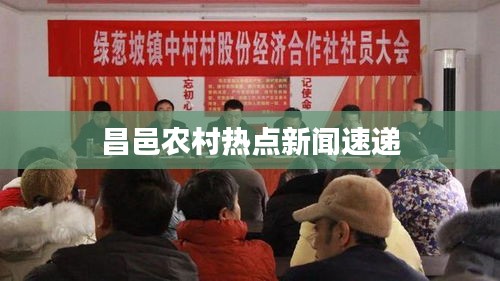 昌邑农村热点新闻速递
